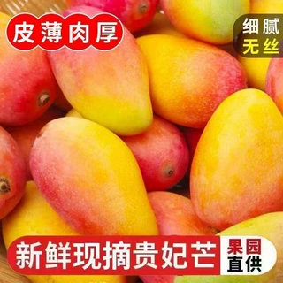 广西海南贵妃芒10斤新鲜芒果水果当季红金龙辣椒甜心芒大果