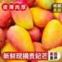 海南广西大果新鲜水果