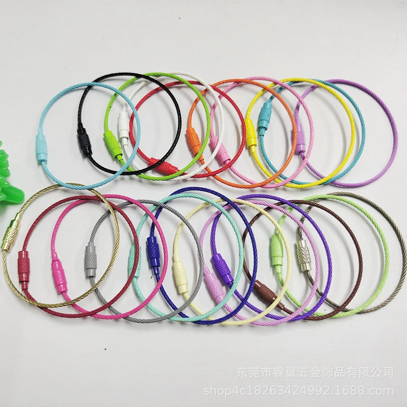 В наличии поставка краска цвет стальной трос 669 Цвет покрытием из нержавеющей стали трос Пряжка брелок