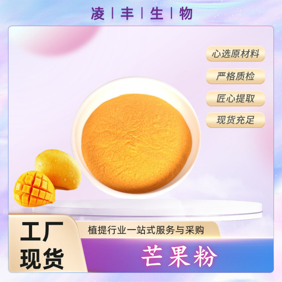 芒果粉99%  VC果粉 代餐粉 芒果提取物  速溶芒果粉 厂家现货批发