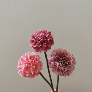 ��֧����ǧ��С�׾ս���DIY�Ʒ���l���滨�ٻ��ǹ�ɫ10ɫ