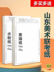 2023 New Shandong Joint Examination Paper Art Student SKetch Paper SKetch Paper Color Paper ThicKened 4K Simulation Examination Paper