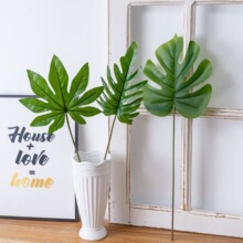 ���滨INS��걳Ҷ��ֲ�辰ާҶ�廨���ҼҾ�װ�λ���ֲ��ǽ�ٻ�