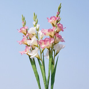 ���愦�m �ҾӔ[��ܛ�b�b��滨�ٻ��Ƶ�zӰ��c�������ѻ�