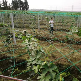 其他安全网;其他塑料网;球网