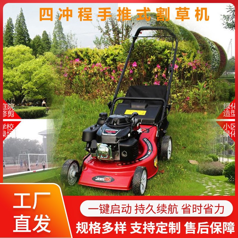 厂家现货手推式草坪机 小型家用自走剪草机 果园园林汽油型割草机