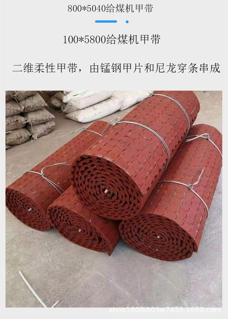 给煤机甲带4.jpg