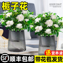 ˮ��ֲ��d�ӻ������ļ��_���������҃Ⱥ��B���򻨻ܾ�����Gֲ��