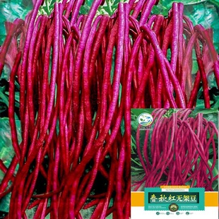 �M�ؼt�o�������N�Ӽt�ļ��G�ض��N�������̨�����L�������ǷN��