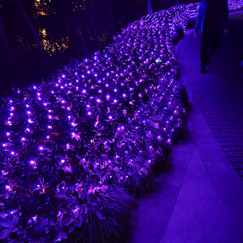 LED fishing net light starry ceiling decoration grid colored light flashing string light starry star light lawn tree light