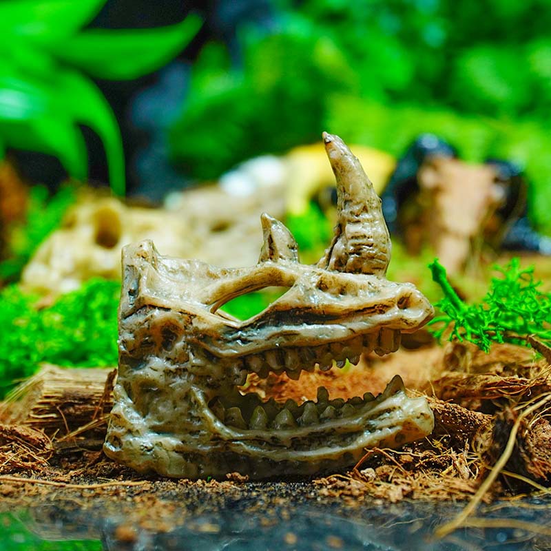 Cráneo dinosaurio cráneo acuario escalada pet crawler caja pecera DIY paisaje decoración simulación PVC Tyrannosaurus naufragio