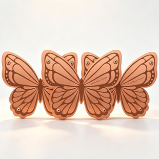 �羳���N���R�d��Ʒ bird bath disk �Bˮ���坍�� �~�|�A�P
