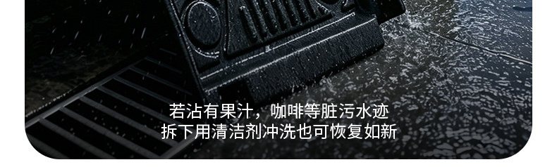 Volkswagen Lavida, Bora, Passat, Magotan, Polo, Lamando, Sagitar, Jetta, Santana Special Tpe Car Floor Mats