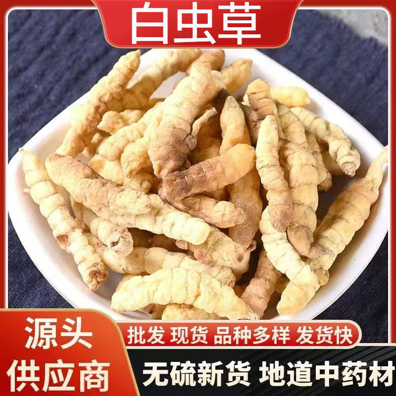 Cao Shi Can (Stachys affinis) — Dried Bai Chong Cao Rhizome, 500g Food Herb overview