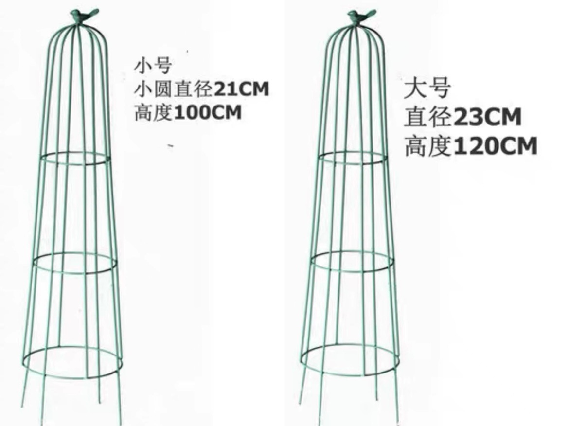 원뿔형 그린 세트