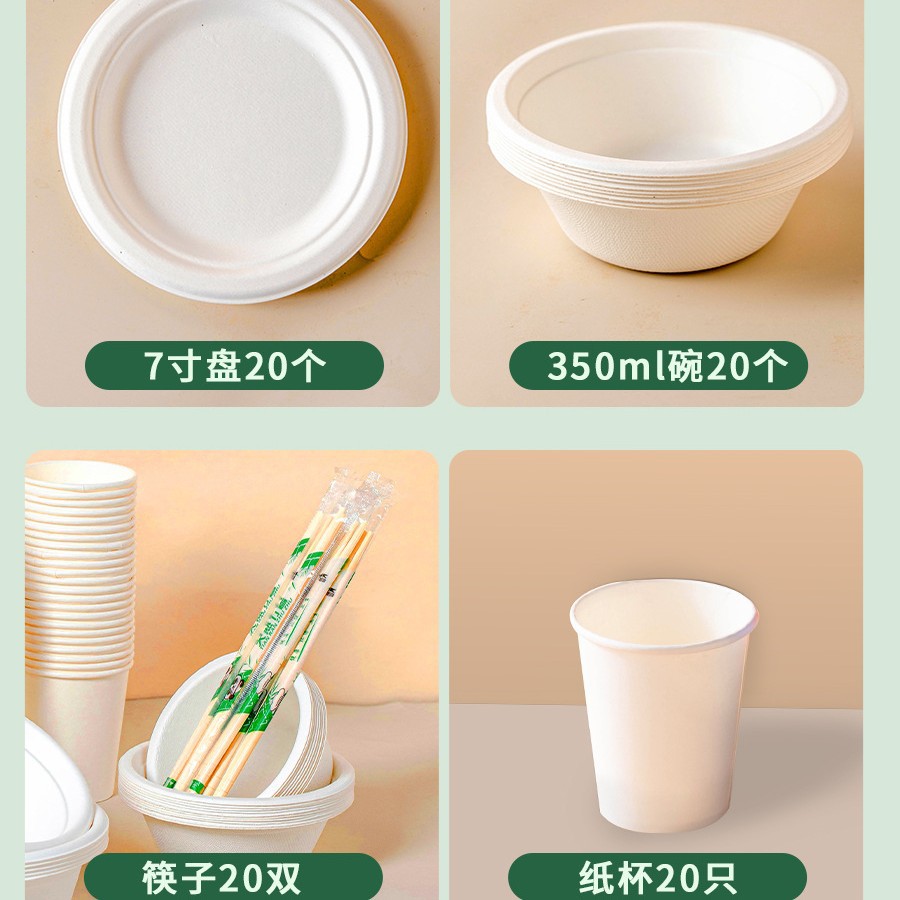 캠퍼스파티 [ 7inch /350ml/젓가락/컵] 총 120개