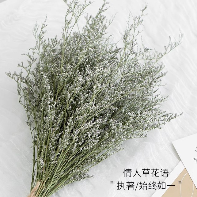 러버풀 드라이플라워 빅다발 - 드라이플라워백