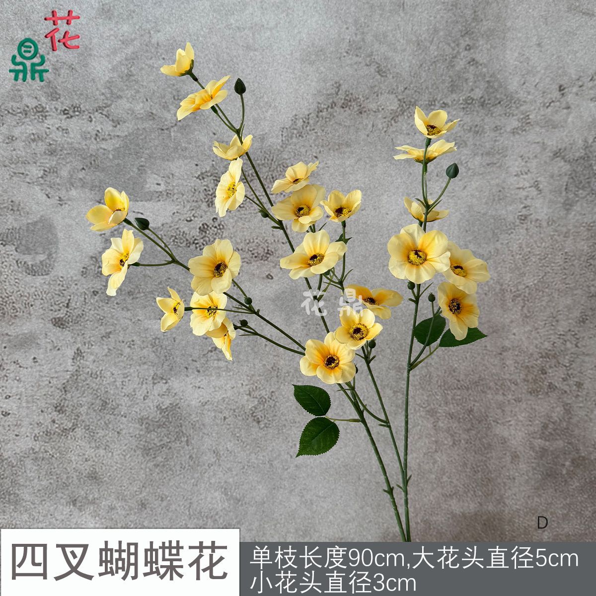 Hoa bướm bốn cánh D màu vàng