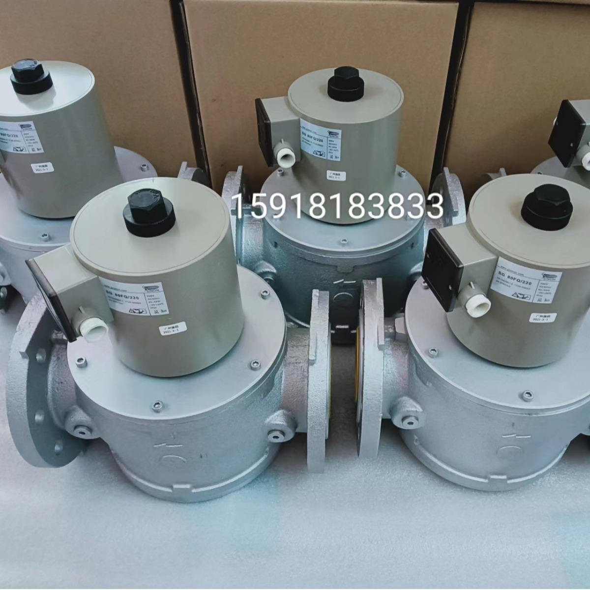 SG80R02NT33 SG80FQ/220施能电磁阀 燃气安全阀