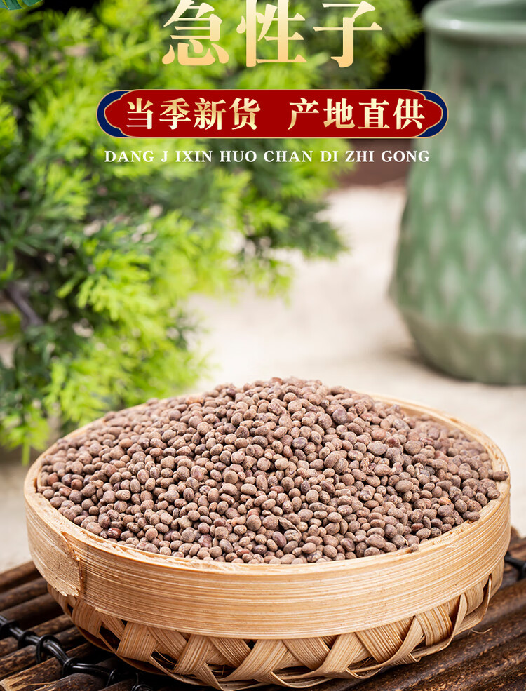 Garden Balsam Seed Ji Xing Zi 500g Dried Impatiens Balsamina Seeds Traditional Chinese Herb overview
