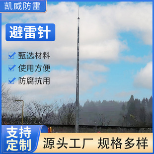 GH series lightning rod ring steel pipe lightning rod galvanized steel pipe rod building lightning arrester
