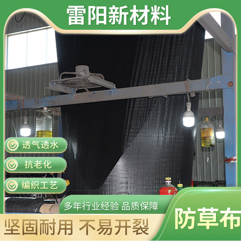 Customized Wholesale Anti-Aging Black Woven Weed-Proof Cloth Agricultural Pe/Pp Gardening Weed-Suppressing Greenhouse Greenhouse Weed-Proof Cloth