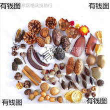 ޻׃@ɻɏ~bhֹ֦ɹϰ