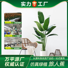 �羳���˽�����Gֲ�����B���W�L�������Կ͏d���ͷ������ؔ[��