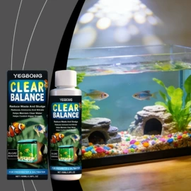 身体护理套装;其他美妆工具;头皮护理用品