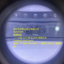 OVM7695-RAEA  OVM7695 图片传感器