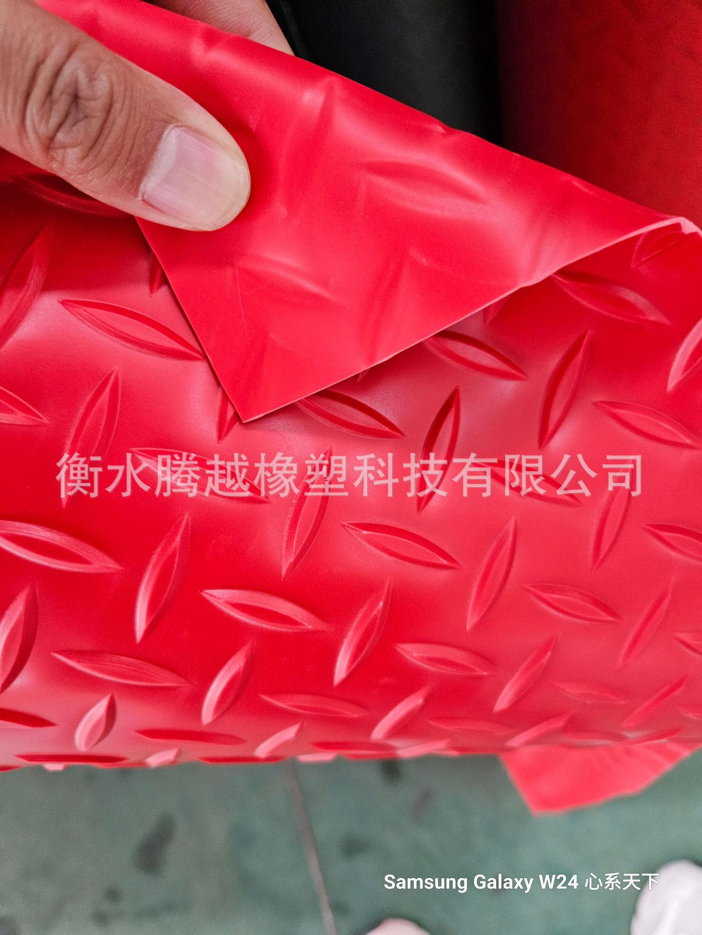 微信图片_20240824110928