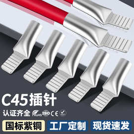 CNXI华西科技C45鸭嘴型铜鼻子插针式国标紫铜接线端子插片 铜线耳