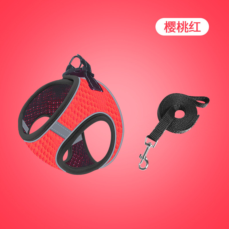 Conjunto de correa para el pecho rojo