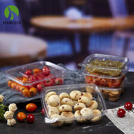 工厂自营一次性熟食盒沙拉水果盒防偷吃设计带防盗条透明坚果盒