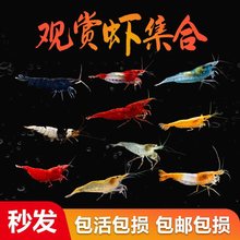 �^�p�r���嵭ˮ�r�r����rС�ͻ��w�ѻ��S�����{�z�qˮ�ݸװ��]