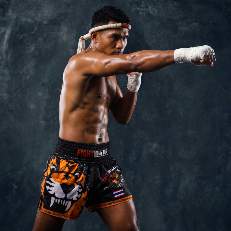 Mma Tiger Fighting Mixed Martial Arts Training Sanda Sports Fitness Muay Thai Shorts Ufc Martial Arts Men and Women