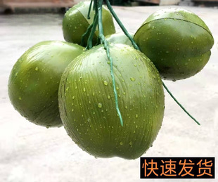 �����Ҭ����Ҭ��Ҭ������Ҭ�Ә�����ϵ��� ����ˮ����ˮ���b�