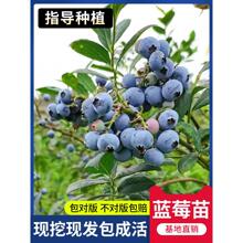 {ݮ玧{ݮϱNֲش̨Ԙ箔Y