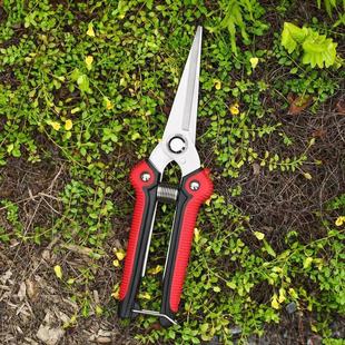 �S�ҹ������P䓈@����֦������ϡ�����P���@ˇ���߼��^���@ժ����