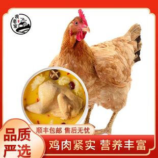 ��S���]���r�r��ɢ�B��ĸ�u1000&plusmn;50g/ֻ�ߵ��u �u�����rһ����