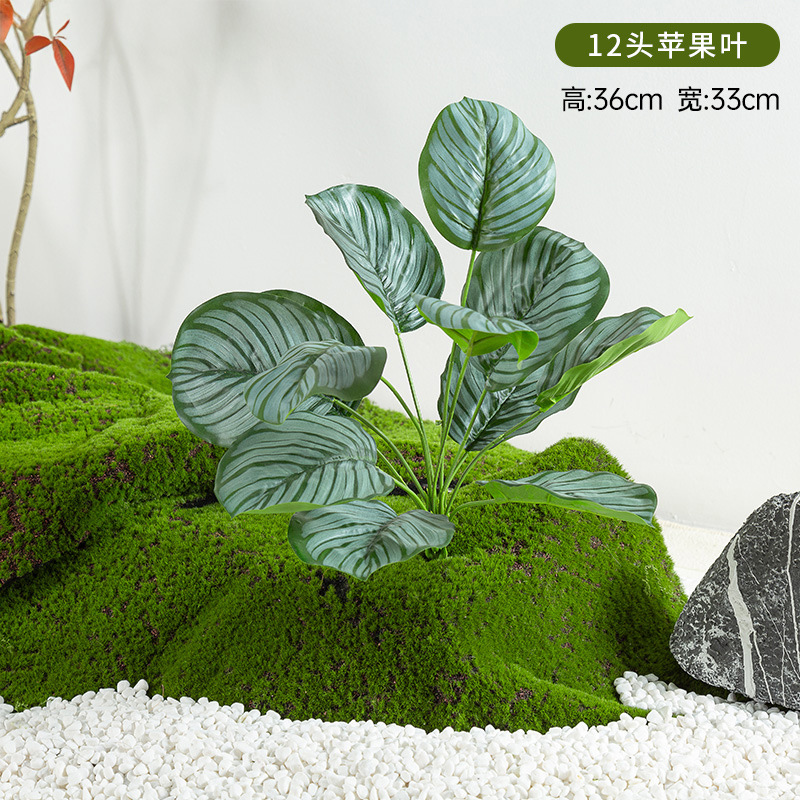 Simulación de plantación y paisajismo verde, materiales de distribución pequeños de todo uso, materiales auxiliares, arreglos florales, helechos, césped falso, decoración de plantas pequeñas, decoración de paisaje image 13