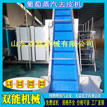 双能 大型全自动黄桃去皮设备 多功能白桃葡萄 蒸汽去皮机 烫皮机