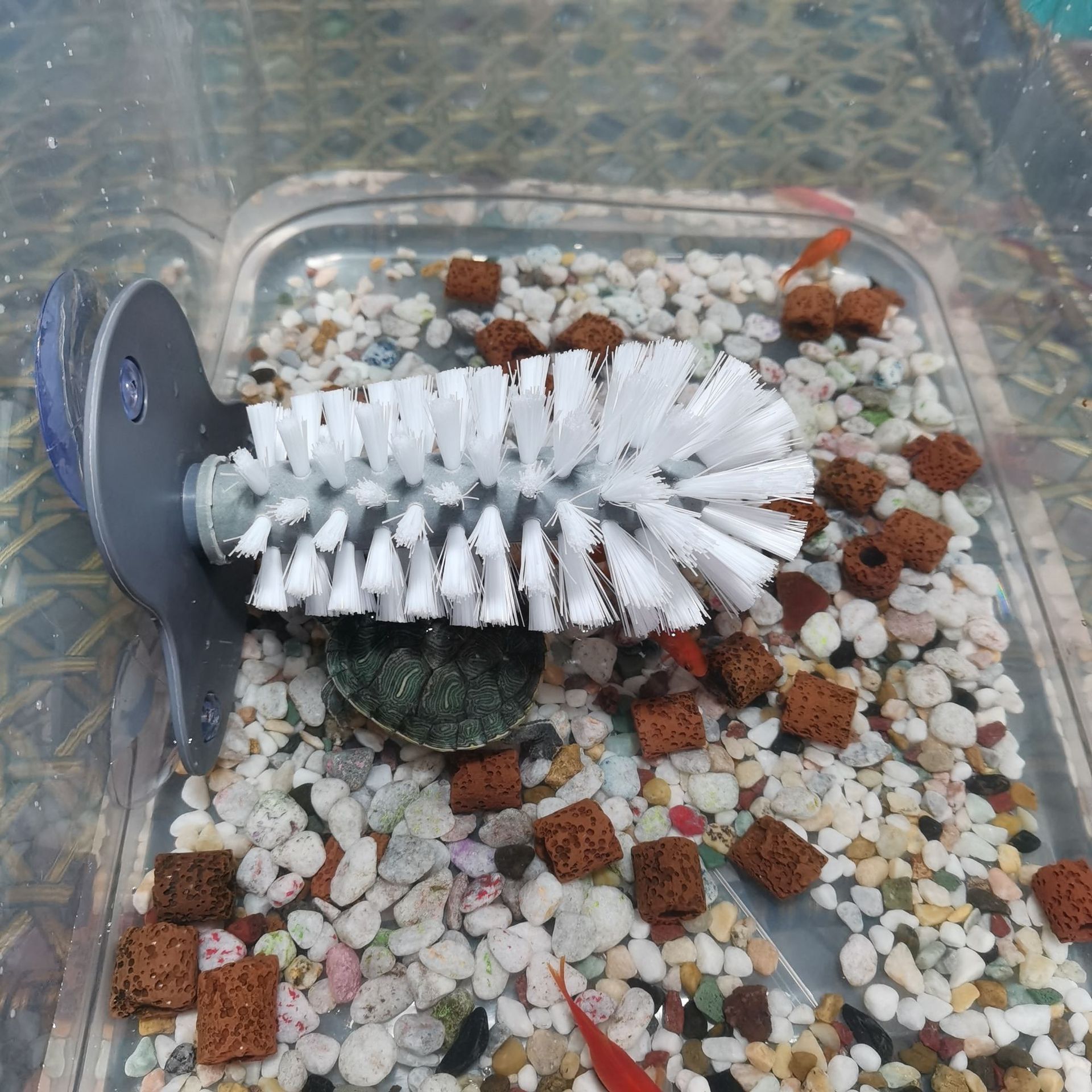商品图