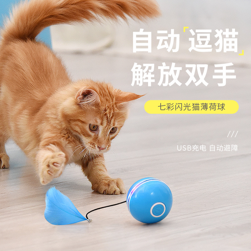 �¿�綯��è�� �Զ�����������è��LED��ëèUSD�������򳧼�