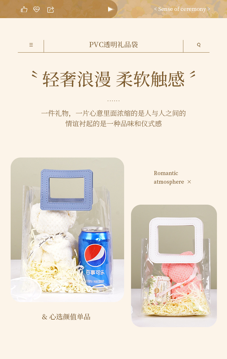 衍乐PVC袋详情_02