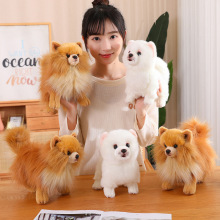 �ɐ۷��沩��Ȯ����ë�q���С��������Ȯ��ż��ͯ��鰲�᲼����