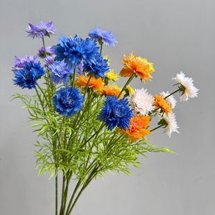 ���滨5�^ʸ܇�� С�����nʽ����c·���廨�zӰ���߲������l�羳