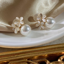 ���°ٴ�؈��ʯ����������A����P���|�oʹ�o�������ɭϵ2025