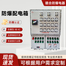 防爆配电装置检修电源插座箱仪表按钮控制隔爆增安接线箱GH
