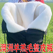 冬季羊皮毛一体裤子男中老年加厚羊毛棉裤真皮防寒保暖高腰羊皮裤